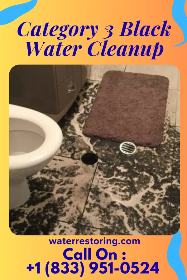 Category 3 Black Water Cleanup in Due West, SC