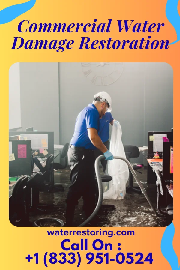 Commercial Water Damage Restoration in Due West, SC