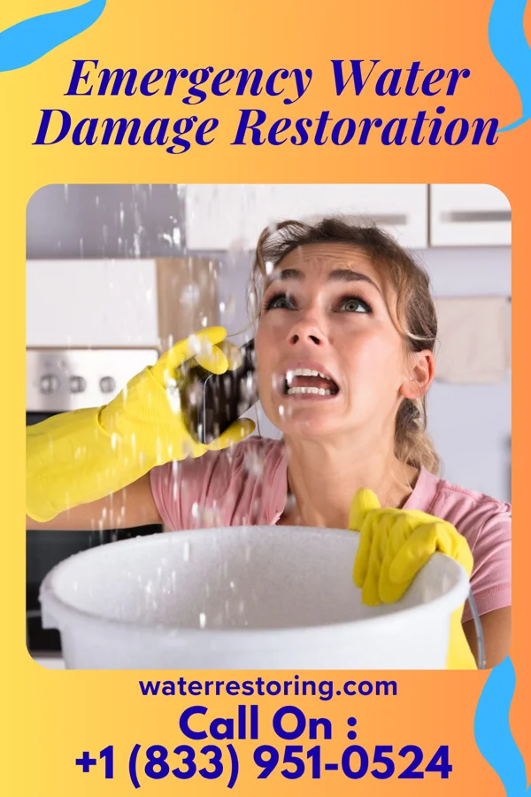 Emergency Water Damage Restoration in Due West, SC