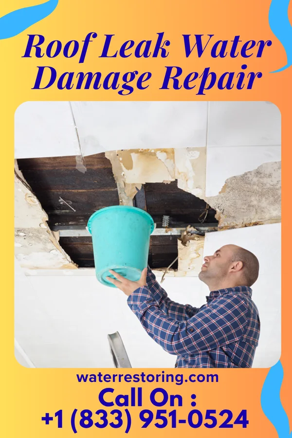 Roof Leak Water Damage Repair in Due West, SC