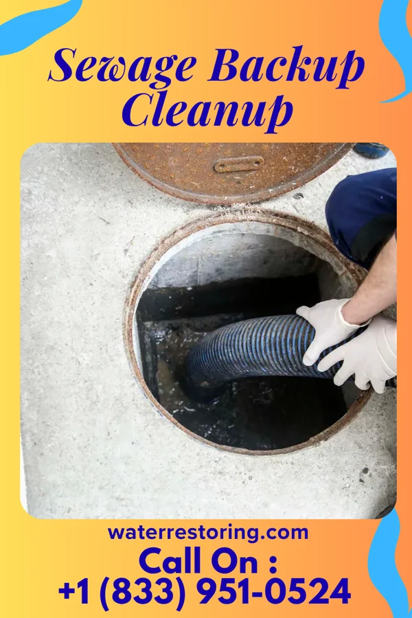 Sewage Backup Cleanup in Due West, SC